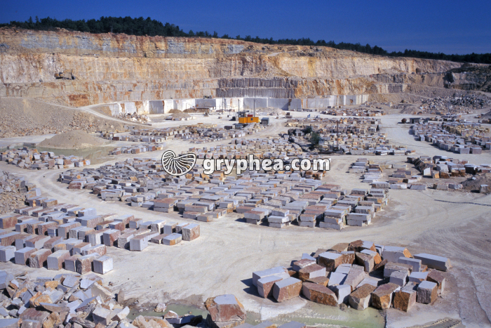 Carrière de calcaire (Comblanchien) - gryphea.com